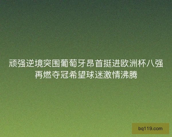 顽强逆境突围葡萄牙昂首挺进欧洲杯八强再燃夺冠希望球迷激情沸腾