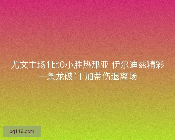 尤文主场1比0小胜热那亚 伊尔迪兹精彩一条龙破门 加蒂伤退离场 尤文主场1比0小胜热那亚 伊尔迪兹精彩一条龙破门 加蒂伤退离场